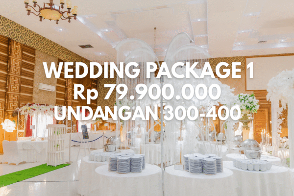 Wedding package 1 untuk undangan 300-400